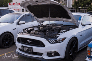 Tony - 2017 Mustang